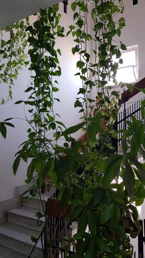 Apartament Amanda'S Panorama Tarent Zewnętrze zdjęcie
