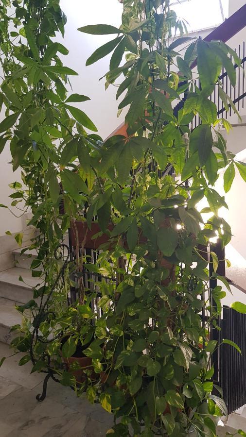 Apartament Amanda'S Panorama Tarent Zewnętrze zdjęcie